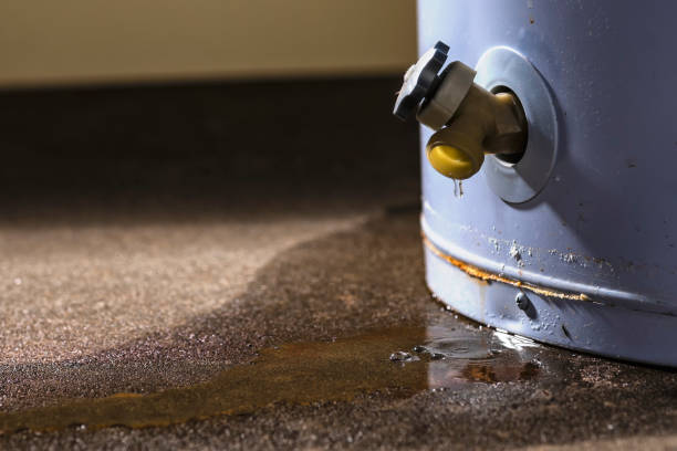 Best Water damage restoration insurance claims  in West Concord, MA