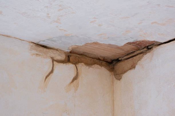 Best Ceiling water damage repair  in West Concord, MA