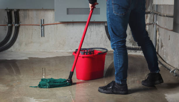 Best Carpet water damage restoration  in West Concord, MA