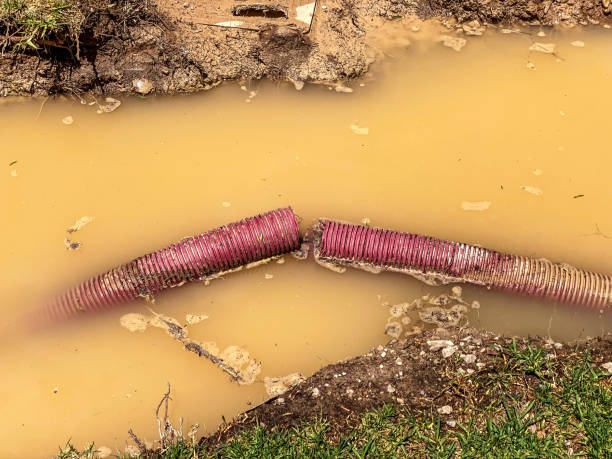 Best Local water damage restoration  in West Concord, MA